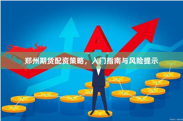 郑州期货配资策略，入门指南与风险提示