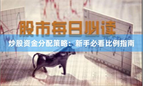 炒股资金分配策略：新手必看比例指南
